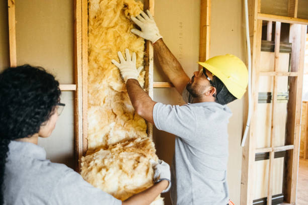 Best Spray Foam Insulation  in Half Moon, NC