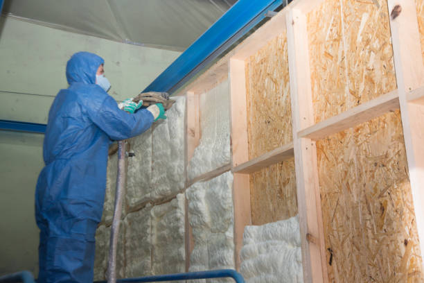 Best Insulation for New Construction  in Half Moon, NC