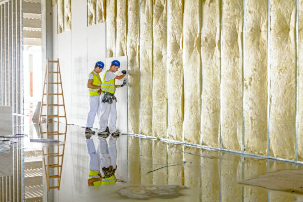 Best Insulation Repair Services  in Half Moon, NC